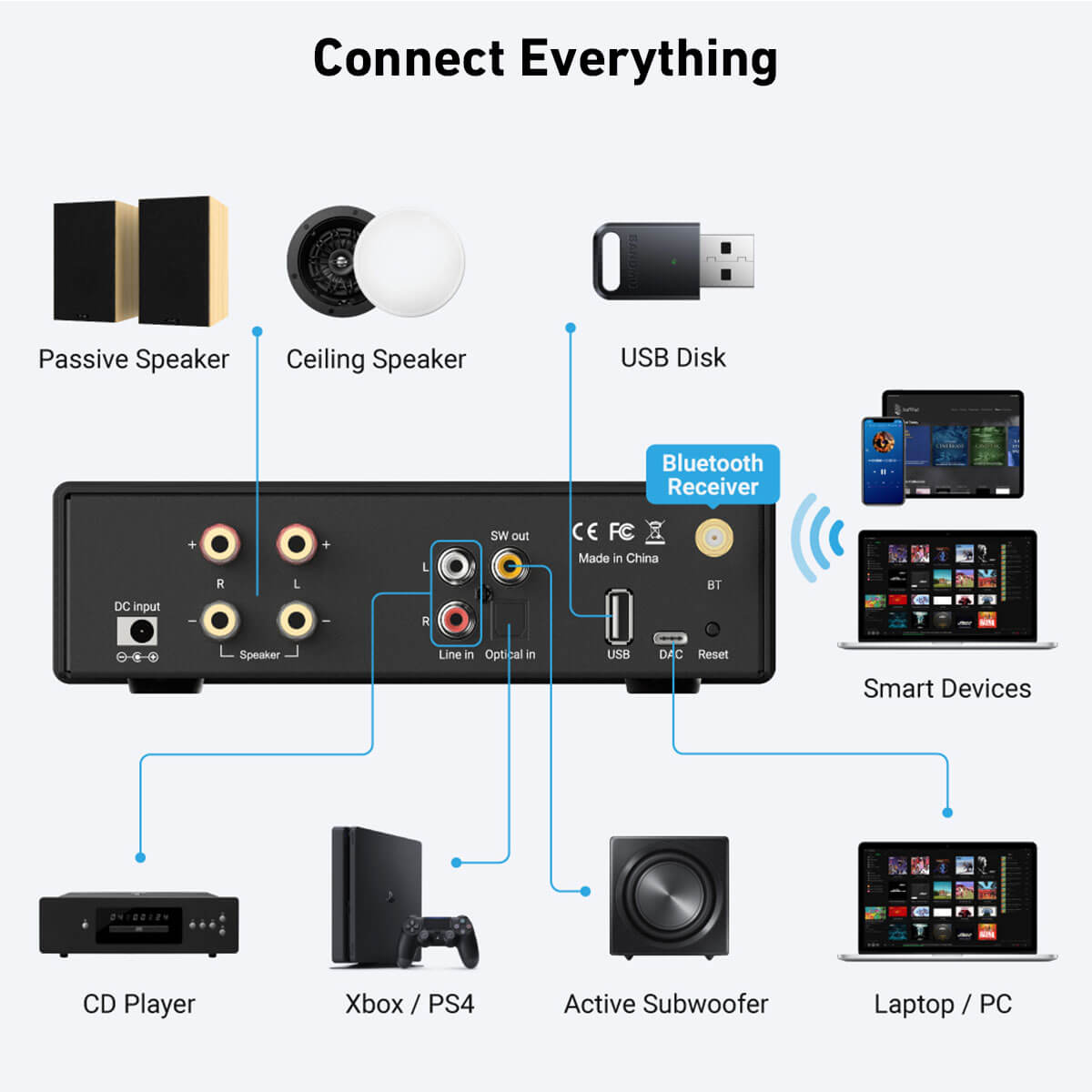 Arylic-B50 SE Penerima Amplifi - Class D Amplifier ulasan dan harga