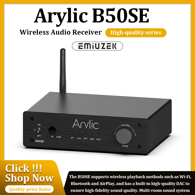 Arylic-B50 SE Penerima Amplifi - Class D Amplifier ulasan dan harga