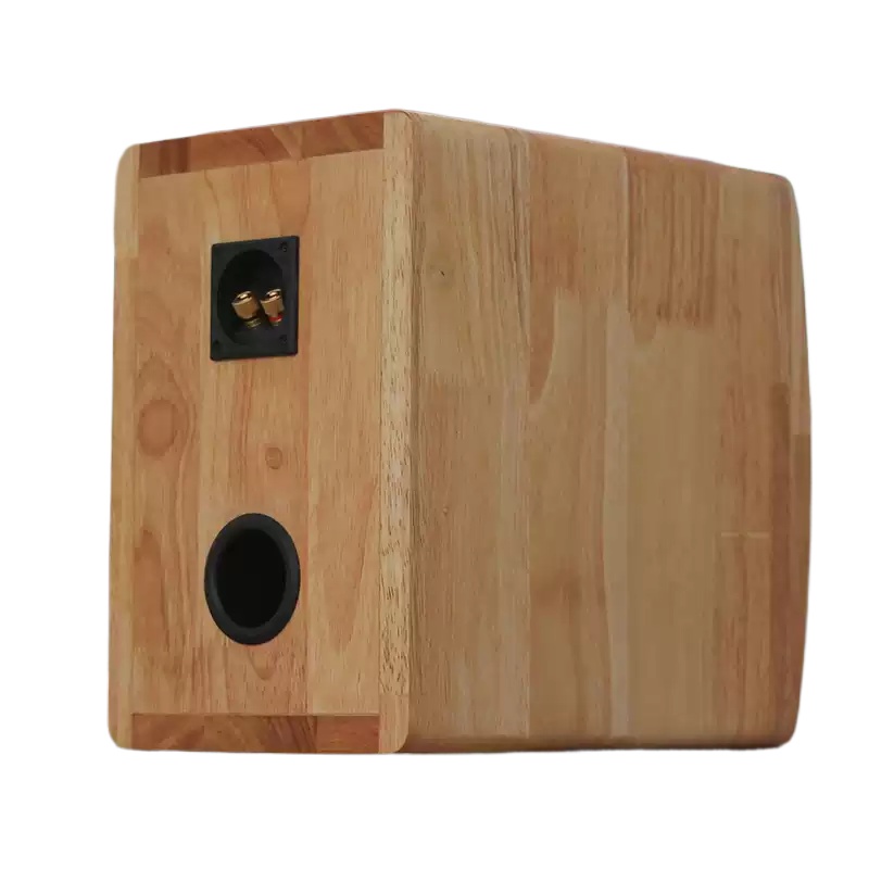 DZ‑06 Unit Speaker Koaksial 5. - Speaker Driver ulasan dan harga